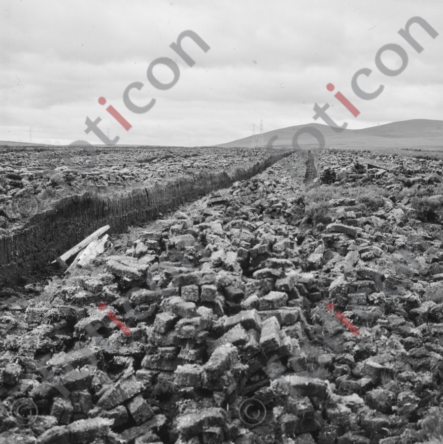 Torffeld | Peat field - Foto foticon-hofmann-001-002-sw.jpg | foticon.de - Bilddatenbank für Motive aus Geschichte und Kultur